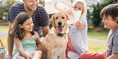 Pet-Trust-Estate-Planning