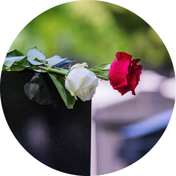 rose on casket