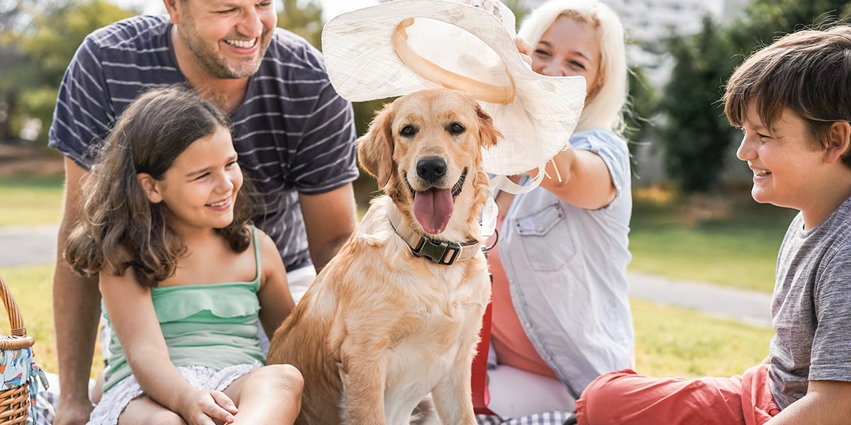 Pet-Trust-Estate-Planning